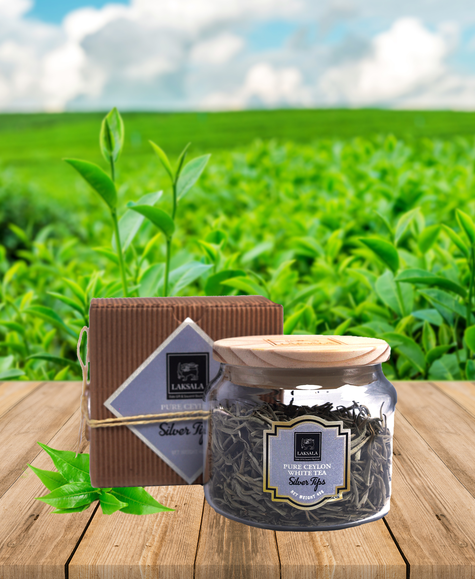 Buy LAKSALA SILVER TIPS TEA - 40g