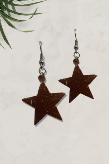 Coconut Shell Earrings – Star